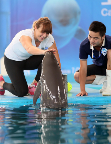 上曾拥有姚 上曾拥有姚