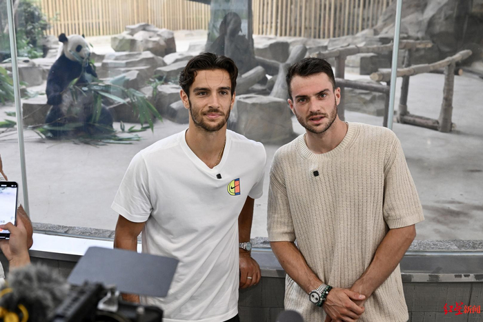 的市场价值 的市场价值